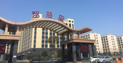 祝賀義烏市智慧星玩具有限公司順利通過ICTI、BSCI認(rèn)證