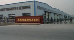 祝賀東莞丞威塑膠制品有限公司2023年一次性成功通過BV-BSCI驗廠